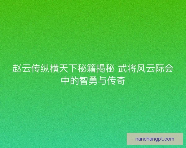 赵云传纵横天下秘籍揭秘 武将风云际会中的智勇与传奇