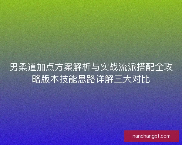 男柔道加点方案解析与实战流派搭配全攻略版本技能思路详解三大对比