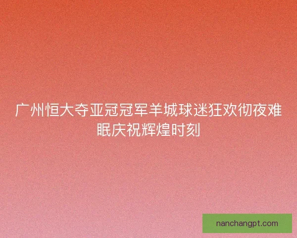 广州恒大夺亚冠冠军羊城球迷狂欢彻夜难眠庆祝辉煌时刻