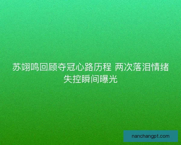 苏翊鸣回顾夺冠心路历程 两次落泪情绪失控瞬间曝光
